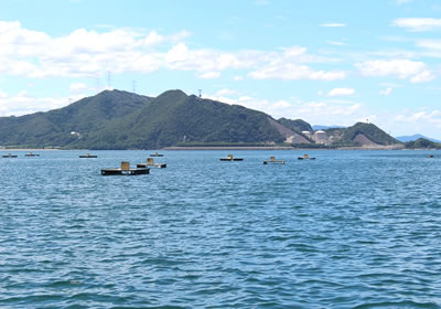 松ヶ崎の筏